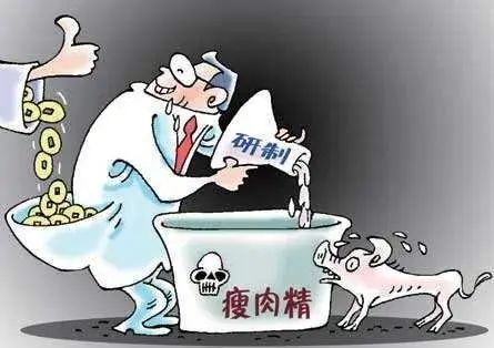 β-受體激動(dòng)劑：畜牧業(yè)的“隱形毒藥”與人類健康的威脅